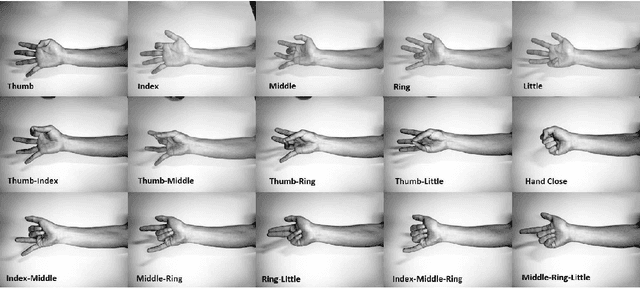 Figure 2 for Deep learning approach to control of prosthetic hands with electromyography signals