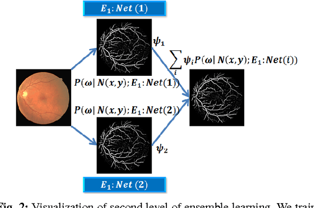 Figure 2 for Deep Neural Ensemble for Retinal Vessel Segmentation in Fundus Images towards Achieving Label-free Angiography