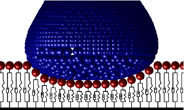 Figure 1 for BubbleTouch: A Quasi-Static Tactile Skin Simulator