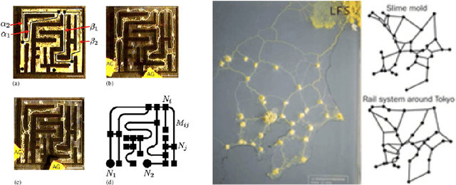 Figure 1 for Physarum Multi-Commodity Flow Dynamics