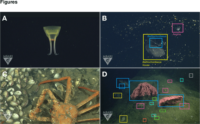 Figure 1 for FathomNet: A global underwater image training set for enabling artificial intelligence in the ocean
