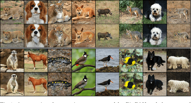 Figure 1 for TinyGAN: Distilling BigGAN for Conditional Image Generation