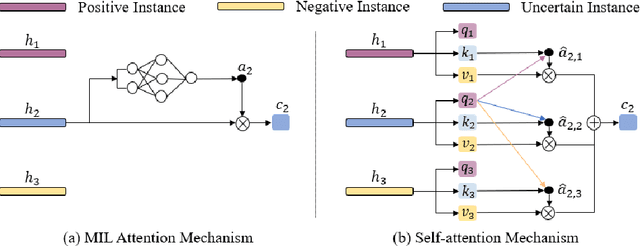 Figure 1 for TransMIL: Transformer based Correlated Multiple Instance Learning for Whole Slide Image Classication