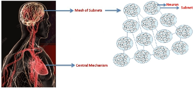 Figure 1 for Rethinking the Artificial Neural Networks: A Mesh of Subnets with a Central Mechanism for Storing and Predicting the Data