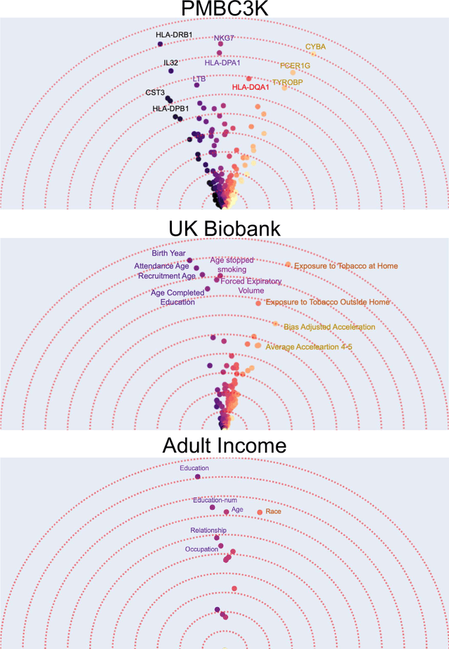 Figure 4 for Beyond Importance Scores: Interpreting Tabular ML by Visualizing Feature Semantics