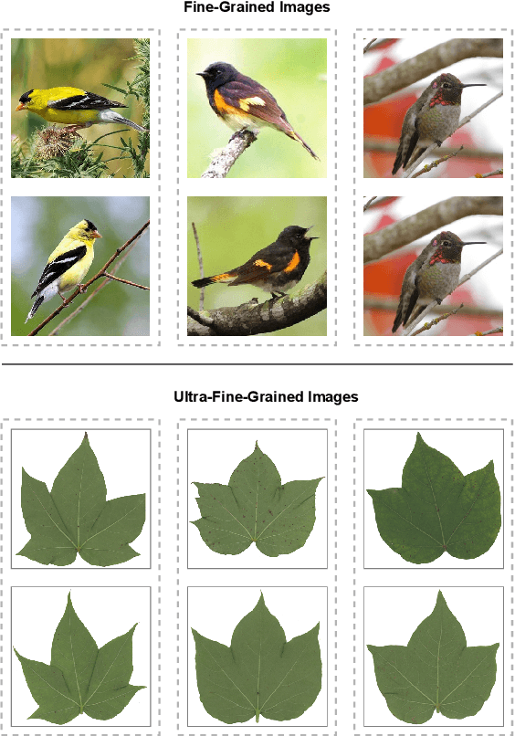 Figure 1 for A Compositional Feature Embedding and Similarity Metric for Ultra-Fine-Grained Visual Categorization