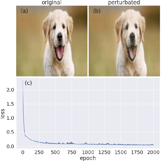 Figure 3 for Targeted Nonlinear Adversarial Perturbations in Images and Videos