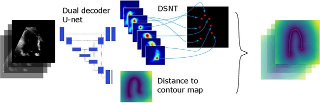 Figure 1 for Left Ventricle Contouring of Apical Three-Chamber Views on 2D Echocardiography