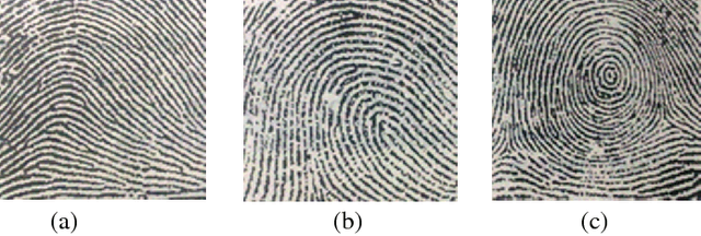 Figure 1 for Biometric Recognition System (Algorithm)