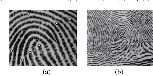 Figure 3 for Biometric Recognition System (Algorithm)