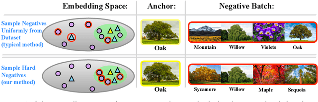 Figure 1 for Contrastive Learning with Hard Negative Samples