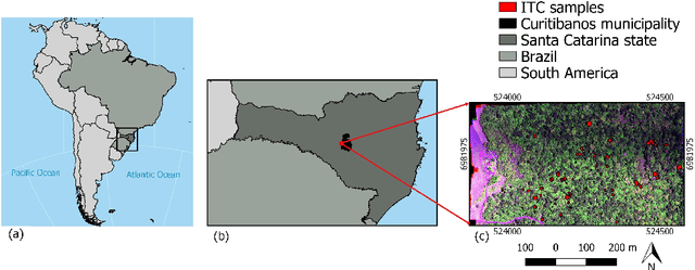 Figure 1 for Multi-task fully convolutional network for tree species mapping in dense forests using small training hyperspectral data