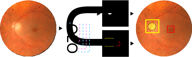 Figure 1 for UOLO - automatic object detection and segmentation in biomedical images