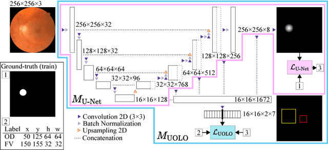 Figure 3 for UOLO - automatic object detection and segmentation in biomedical images