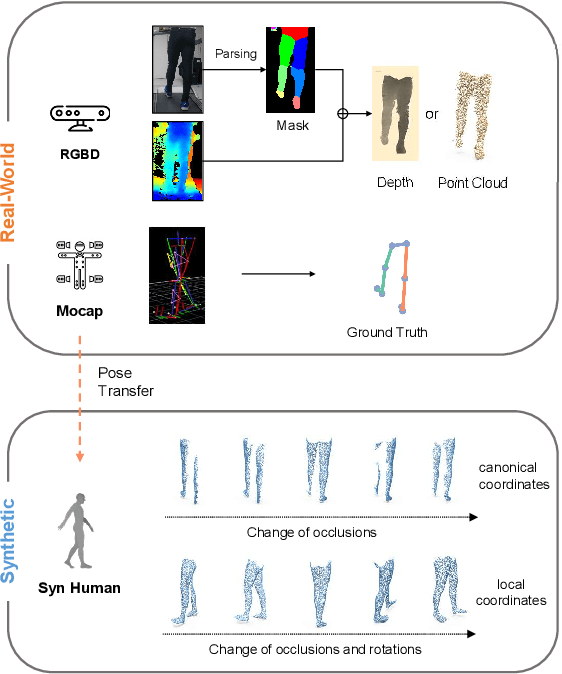 Figure 3 for Occlusion-Invariant Rotation-Equivariant Semi-Supervised Depth Based Cross-View Gait Pose Estimation