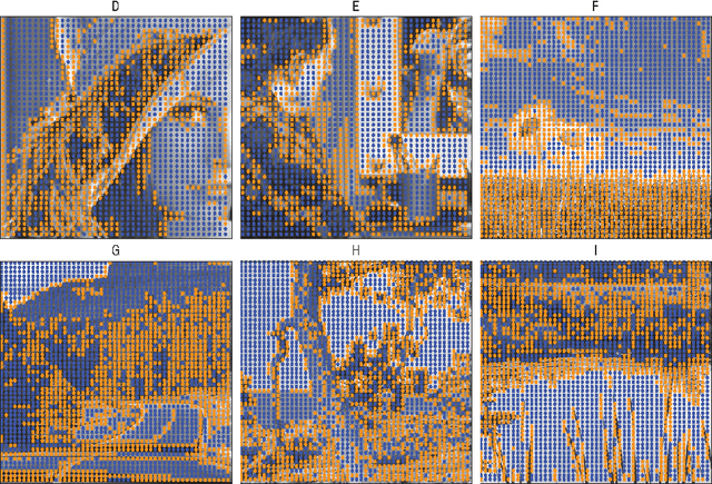 Figure 3 for A random walk on image patches
