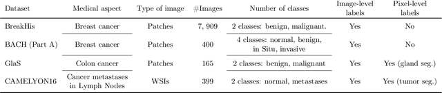 Figure 2 for Deep weakly-supervised learning methods for classification and localization in histology images: a survey