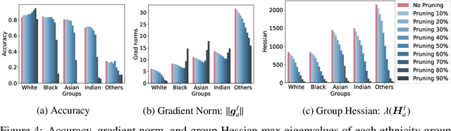 Figure 3 for Pruning has a disparate impact on model accuracy