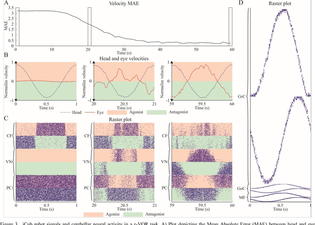 Figure 3 for Exploring vestibulo-ocular adaptation in a closed-loop neuro-robotic experiment using STDP. A simulation study