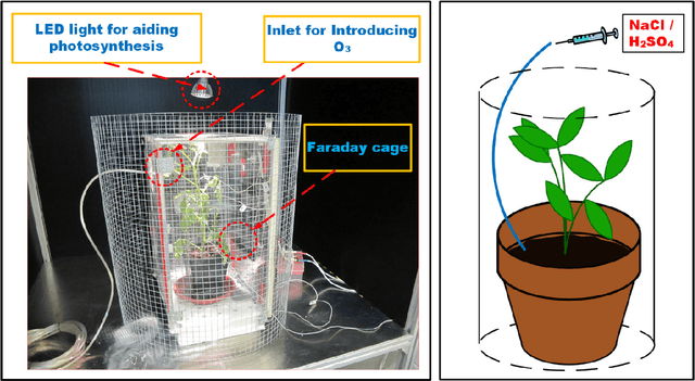 Figure 3 for Comparison of Decision Tree Based Classification Strategies to Detect External Chemical Stimuli from Raw and Filtered Plant Electrical Response