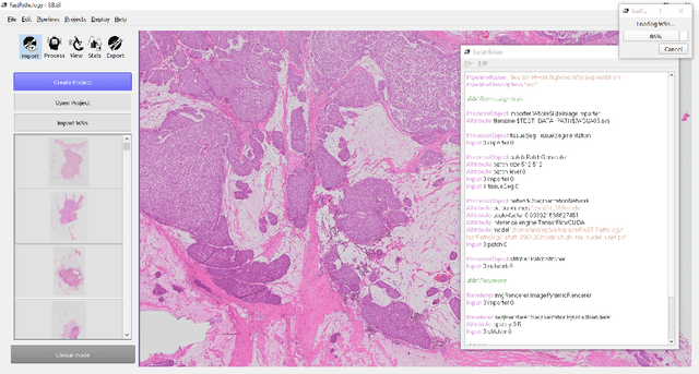 Figure 2 for FastPathology: An open-source platform for deep learning-based research and decision support in digital pathology