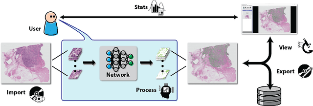 Figure 3 for FastPathology: An open-source platform for deep learning-based research and decision support in digital pathology