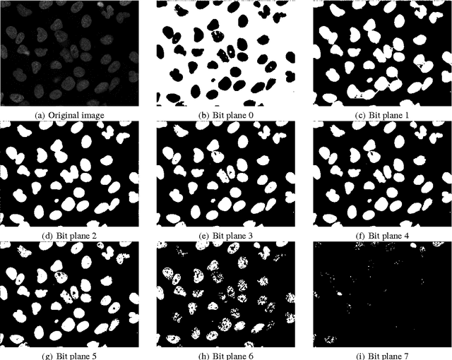 Figure 3 for An Unsupervised Ensemble-based Markov Random Field Approach to Microscope Cell Image Segmentation