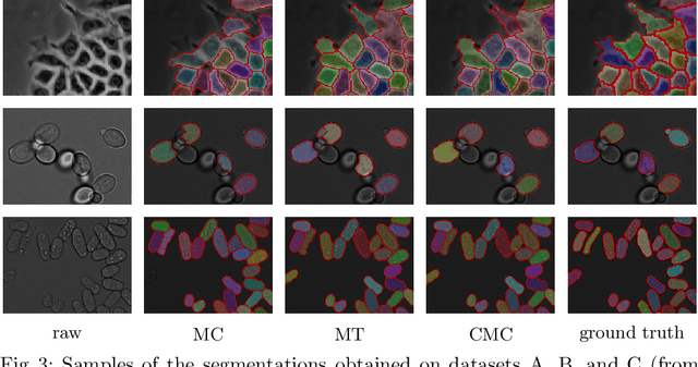 Figure 4 for The Candidate Multi-Cut for Cell Segmentation
