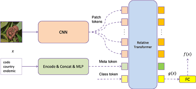 Figure 1 for Solutions for Fine-grained and Long-tailed Snake Species Recognition in SnakeCLEF 2022