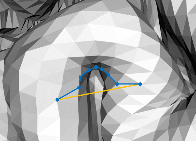 Figure 1 for GeoSP: A parallel method for a cortical surface parcellation based on geodesic distance