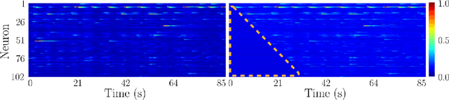 Figure 1 for Neuronal Learning Analysis using Cycle-Consistent Adversarial Networks