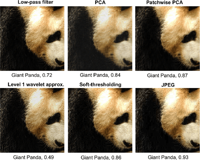 Figure 3 for Defending against Adversarial Images using Basis Functions Transformations