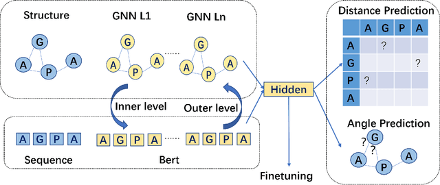 Figure 4 for Structure-aware Protein Self-supervised Learning