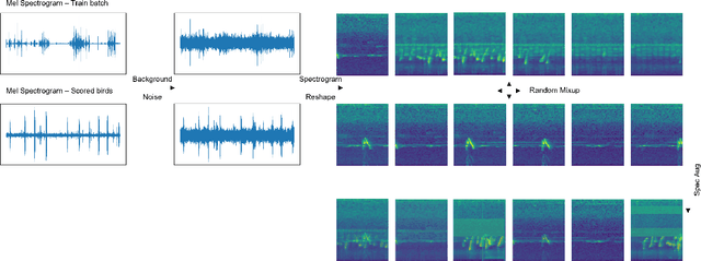 Figure 4 for Few-shot Long-Tailed Bird Audio Recognition