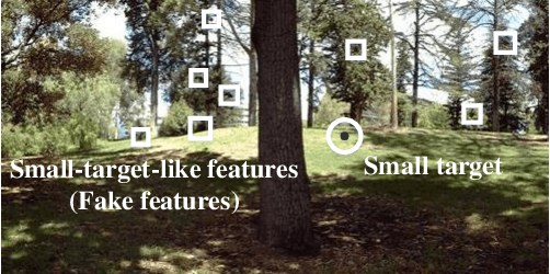 Figure 1 for A Robust Visual System for Small Target Motion Detection Against Cluttered Moving Backgrounds