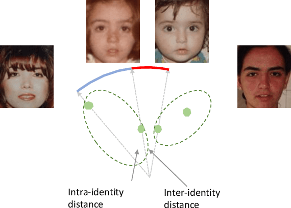 Figure 1 for Decorrelated Adversarial Learning for Age-Invariant Face Recognition