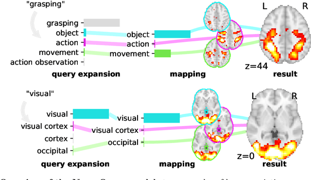 Figure 2 for NeuroQuery: comprehensive meta-analysis of human brain mapping