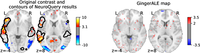 Figure 3 for NeuroQuery: comprehensive meta-analysis of human brain mapping