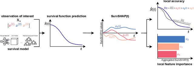 Figure 1 for SurvSHAP(t): Time-dependent explanations of machine learning survival models