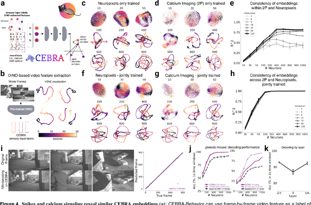 Figure 4 for Learnable latent embeddings for joint behavioral and neural analysis