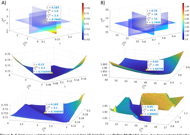 Figure 4 for Solving large-scale MEG/EEG source localization and functional connectivity problems simultaneously using state-space models