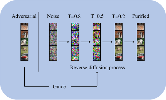 Figure 1 for Guided Diffusion Model for Adversarial Purification from Random Noise