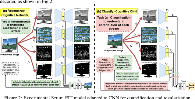 Figure 3 for CognitiveCNN: Mimicking Human Cognitive Models to resolve Texture-Shape Bias