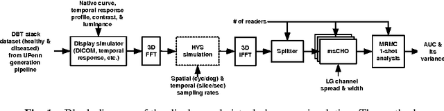 Figure 1 for It is hard to see a needle in a haystack: Modeling contrast masking effect in a numerical observer