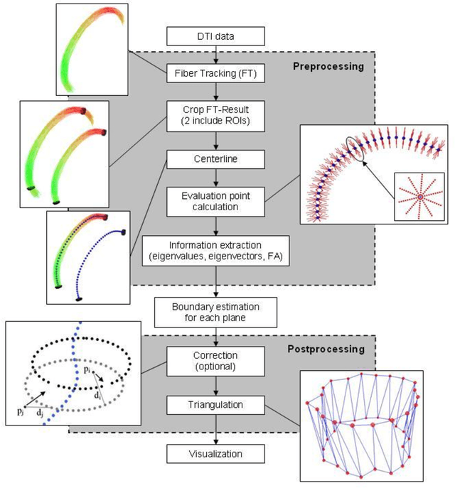 Figure 1 for A Ray-based Approach for Boundary Estimation of Fiber Bundles Derived from Diffusion Tensor Imaging