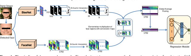 Figure 1 for Estimation of BMI from Facial Images using Semantic Segmentation based Region-Aware Pooling