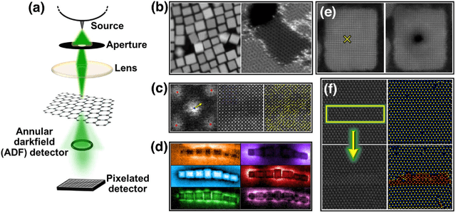 Figure 3 for Microscopy is All You Need