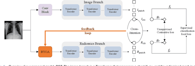 Figure 2 for Radiomics-Guided Global-Local Transformer for Weakly Supervised Pathology Localization in Chest X-Rays