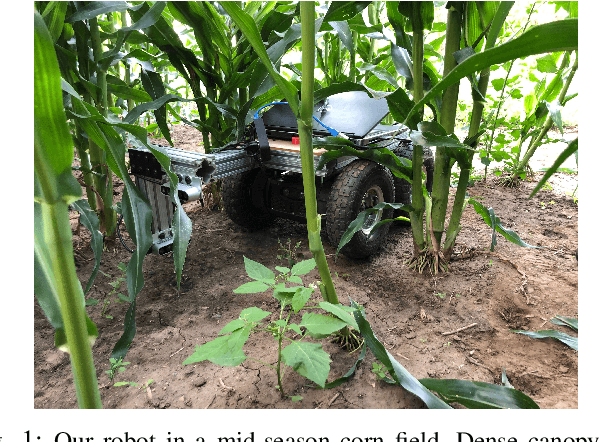 Figure 1 for ROW-SLAM: Under-Canopy Cornfield Semantic SLAM