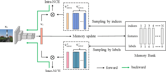 Figure 3 for Delving into Inter-Image Invariance for Unsupervised Visual Representations
